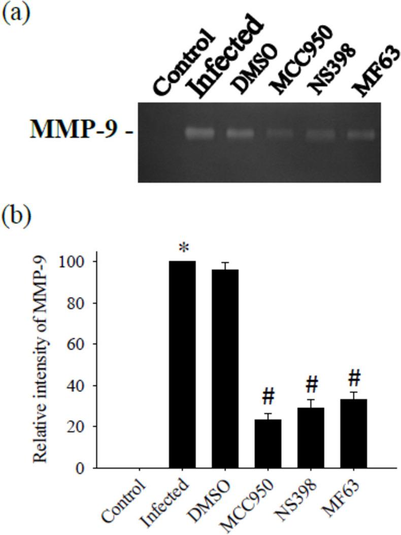 https://cdn.ncbi.nlm.nih.gov/pmc/blobs/8e7c/11753341/6fe4384f05e3/436_2025_8454_Fig7_HTML.jpg