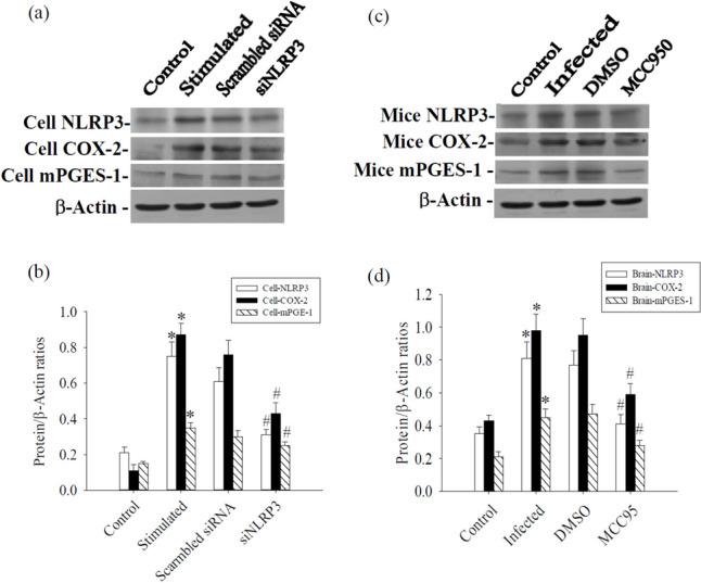 https://cdn.ncbi.nlm.nih.gov/pmc/blobs/8e7c/11753341/b5ca581b26fa/436_2025_8454_Fig5_HTML.jpg