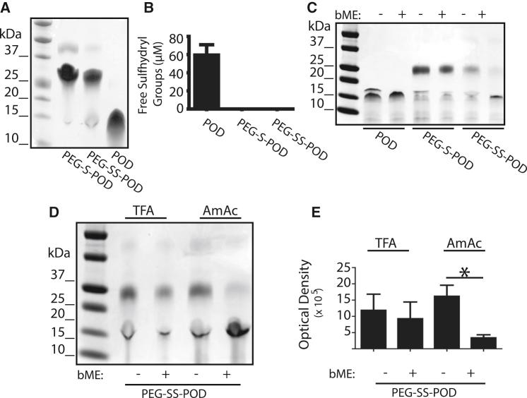 https://cdn.ncbi.nlm.nih.gov/pmc/blobs/8e7e/5491761/5b5a0d5ee68c/gr1.jpg