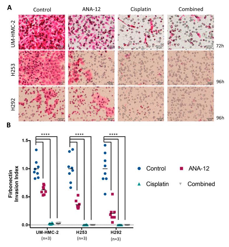 https://cdn.ncbi.nlm.nih.gov/pmc/blobs/8e81/7759804/063330643c1d/biomedicines-08-00531-g004.jpg