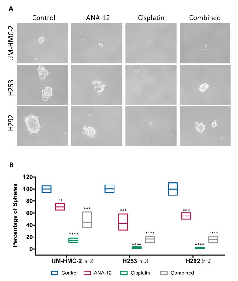 https://cdn.ncbi.nlm.nih.gov/pmc/blobs/8e81/7759804/e35187d3c1ba/biomedicines-08-00531-g006.jpg