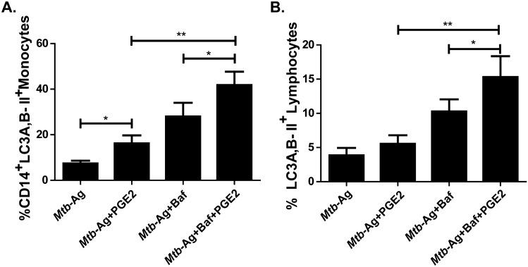 https://cdn.ncbi.nlm.nih.gov/pmc/blobs/8e81/8245456/6b135fbee692/41598_2021_92667_Fig5_HTML.jpg