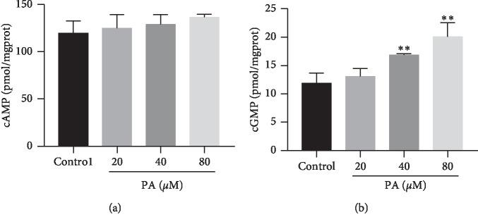 https://cdn.ncbi.nlm.nih.gov/pmc/blobs/8e83/7066398/68fed3242486/ECAM2020-3109069.008.jpg