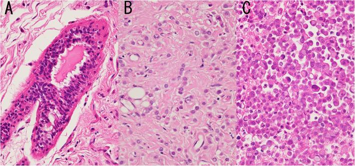 https://cdn.ncbi.nlm.nih.gov/pmc/blobs/8e85/7528467/2958cc9d6012/12885_2020_7432_Fig2_HTML.jpg