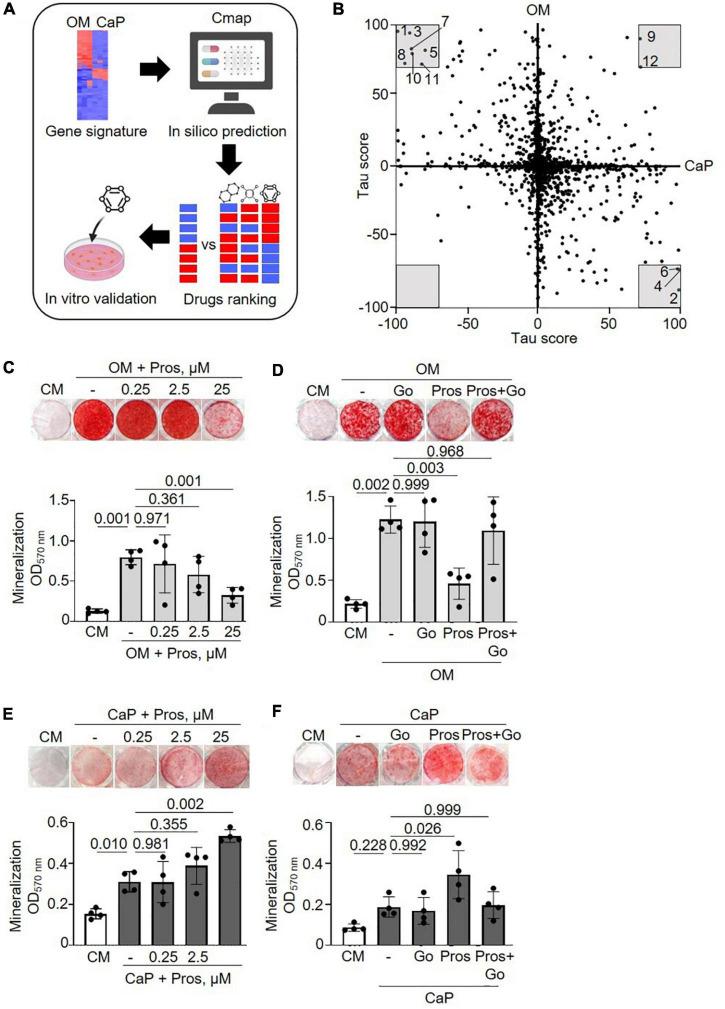 https://cdn.ncbi.nlm.nih.gov/pmc/blobs/8e85/9530266/8ba672d5cb9a/fcvm-09-959457-g004.jpg