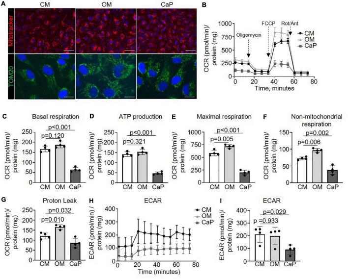 https://cdn.ncbi.nlm.nih.gov/pmc/blobs/8e85/9530266/f8c1a4077a86/fcvm-09-959457-g003.jpg