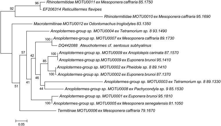 https://cdn.ncbi.nlm.nih.gov/pmc/blobs/8e86/4390358/524fe070b2fc/pone.0122533.g001.jpg