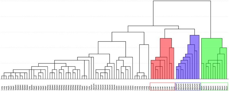 https://cdn.ncbi.nlm.nih.gov/pmc/blobs/8e86/5344918/6b9b13160cb8/fphar-08-00122-g005.jpg