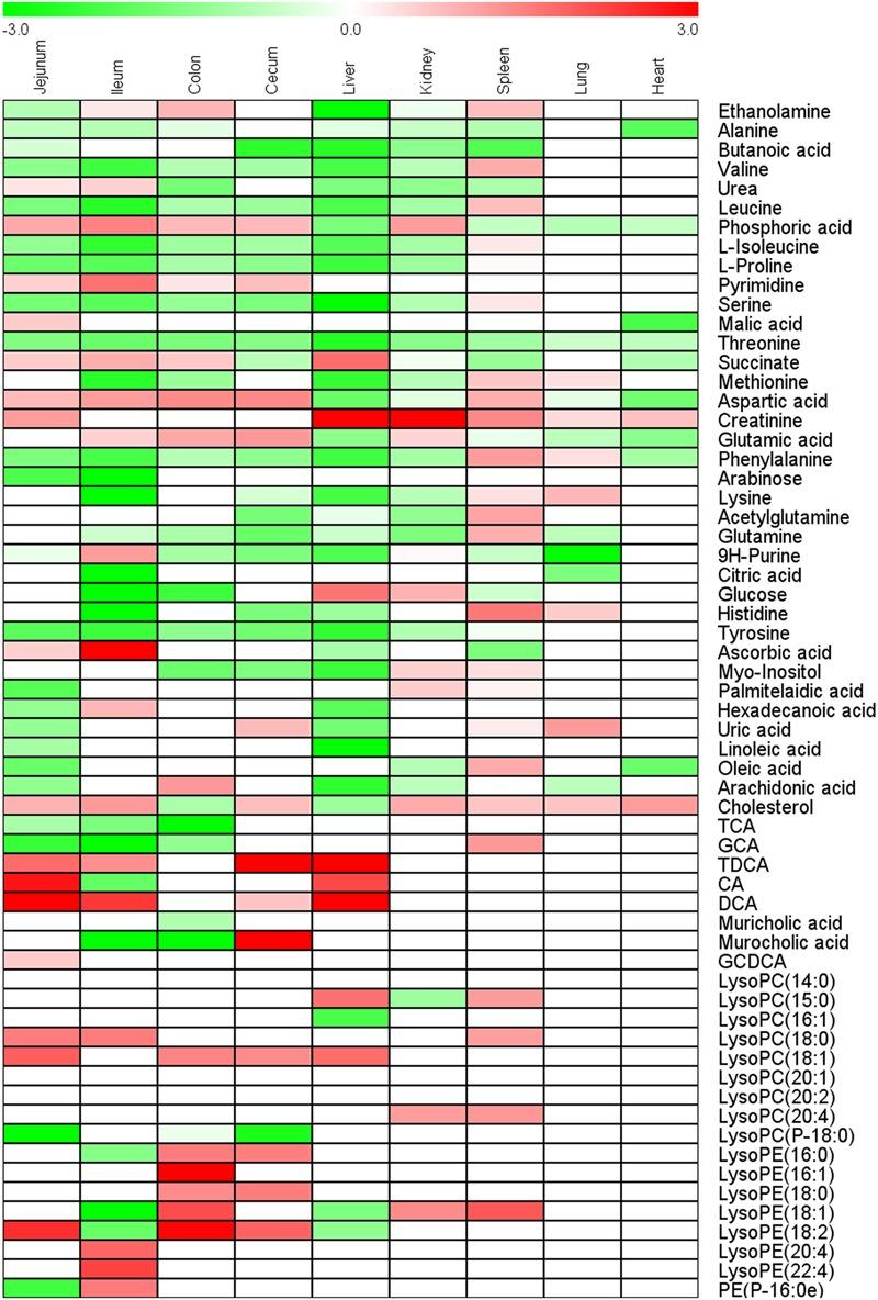 https://cdn.ncbi.nlm.nih.gov/pmc/blobs/8e86/5344918/d355e5a108a8/fphar-08-00122-g004.jpg