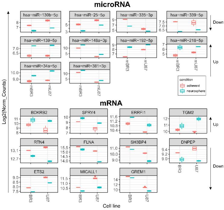 https://cdn.ncbi.nlm.nih.gov/pmc/blobs/8e86/9688839/730620781ca6/cimb-44-00360-g005.jpg