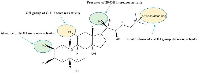 https://cdn.ncbi.nlm.nih.gov/pmc/blobs/8e88/11505650/59967797d18b/biomolecules-14-01285-g003.jpg