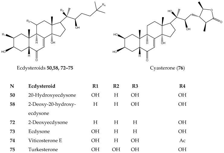 https://cdn.ncbi.nlm.nih.gov/pmc/blobs/8e88/11505650/7fc0e980494e/biomolecules-14-01285-g002.jpg