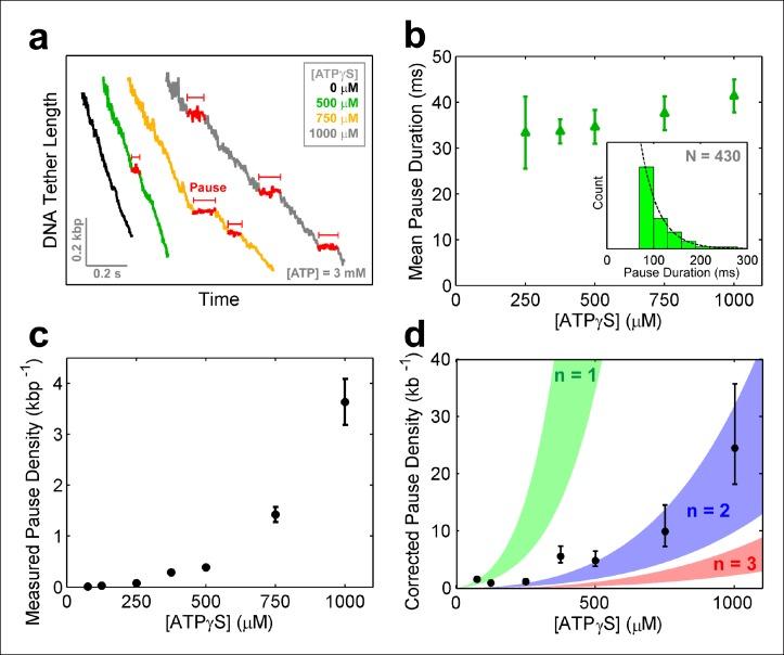https://cdn.ncbi.nlm.nih.gov/pmc/blobs/8e88/4728128/bb2362a37790/elife-09224-fig6.jpg