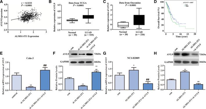 https://cdn.ncbi.nlm.nih.gov/pmc/blobs/8e89/8091588/1f821160ff83/FEB4-11-1504-g005.jpg