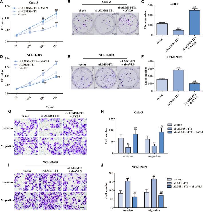 https://cdn.ncbi.nlm.nih.gov/pmc/blobs/8e89/8091588/4fa6045e7e63/FEB4-11-1504-g003.jpg
