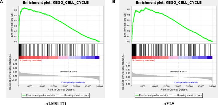 https://cdn.ncbi.nlm.nih.gov/pmc/blobs/8e89/8091588/504cf345d5b5/FEB4-11-1504-g007.jpg