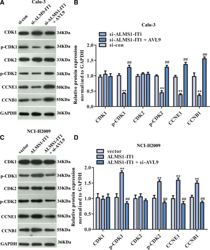 https://cdn.ncbi.nlm.nih.gov/pmc/blobs/8e89/8091588/85bb0f2a0f69/FEB4-11-1504-g006.jpg