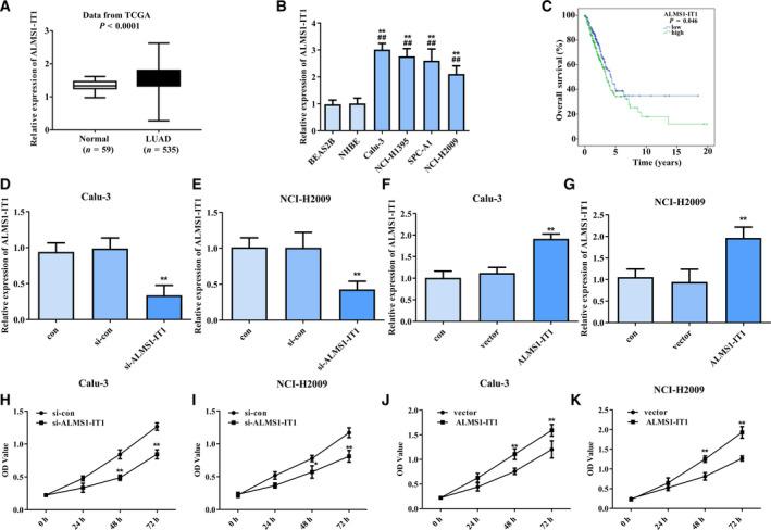 https://cdn.ncbi.nlm.nih.gov/pmc/blobs/8e89/8091588/a30cde198274/FEB4-11-1504-g002.jpg