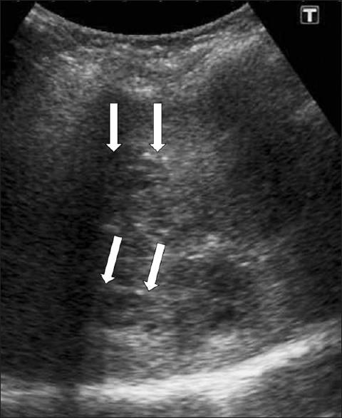 https://cdn.ncbi.nlm.nih.gov/pmc/blobs/8e8d/3279695/63087cc83f9c/JCIS-2-2-g006.jpg