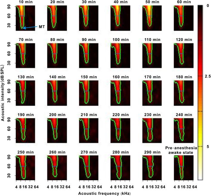 https://cdn.ncbi.nlm.nih.gov/pmc/blobs/8e8e/9240349/62f5dbf4796b/fncel-16-855968-g0002.jpg