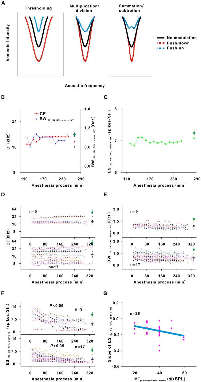 https://cdn.ncbi.nlm.nih.gov/pmc/blobs/8e8e/9240349/a23e18c36426/fncel-16-855968-g0007.jpg