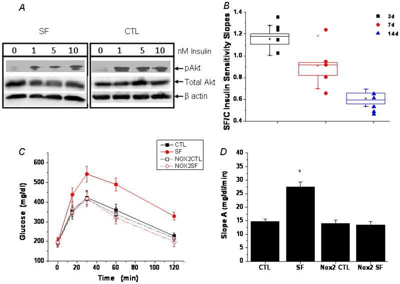 https://cdn.ncbi.nlm.nih.gov/pmc/blobs/8e90/3907464/3fb8f574a9b6/nihms508107f1.jpg