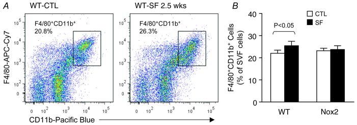 https://cdn.ncbi.nlm.nih.gov/pmc/blobs/8e90/3907464/7dc1ea4fbdcf/nihms508107f3.jpg