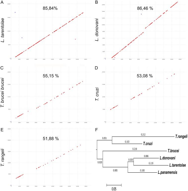 https://cdn.ncbi.nlm.nih.gov/pmc/blobs/8e94/6611448/20d12b5a59e0/peerj-07-7235-g003.jpg