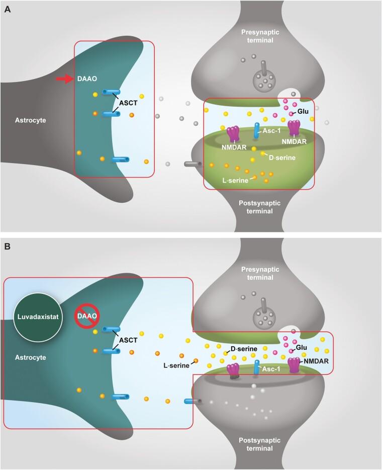 https://cdn.ncbi.nlm.nih.gov/pmc/blobs/8e95/11712274/f0edbb56fc72/pyae066_fig2.jpg