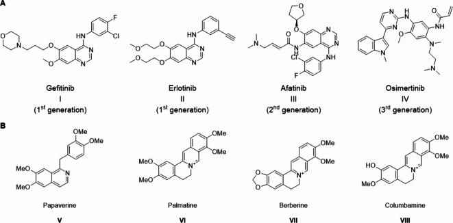 https://cdn.ncbi.nlm.nih.gov/pmc/blobs/8e97/11535068/f2ca9653a375/41598_2024_76459_Fig1_HTML.jpg