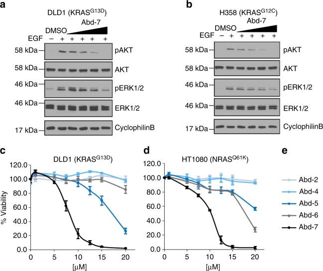 https://cdn.ncbi.nlm.nih.gov/pmc/blobs/8e97/6085350/6917522fdf7c/41467_2018_5707_Fig5_HTML.jpg