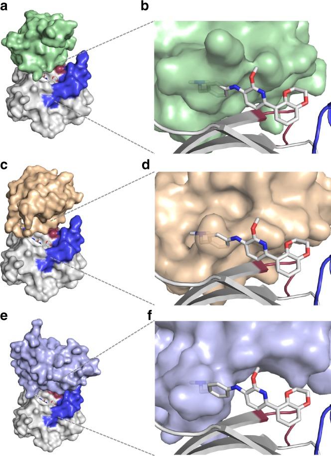 https://cdn.ncbi.nlm.nih.gov/pmc/blobs/8e97/6085350/ebc065a4377a/41467_2018_5707_Fig6_HTML.jpg
