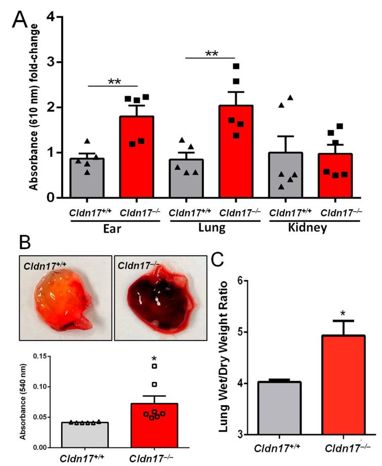 https://cdn.ncbi.nlm.nih.gov/pmc/blobs/8e98/12027279/fc44b020d1e9/ijms-26-03612-g003.jpg