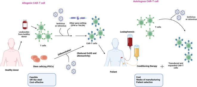 https://cdn.ncbi.nlm.nih.gov/pmc/blobs/8e98/12198129/2f7816c38dca/fimmu-16-1557157-g002.jpg