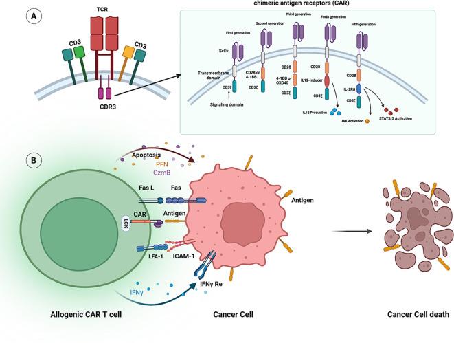 https://cdn.ncbi.nlm.nih.gov/pmc/blobs/8e98/12198129/74705afaa917/fimmu-16-1557157-g004.jpg
