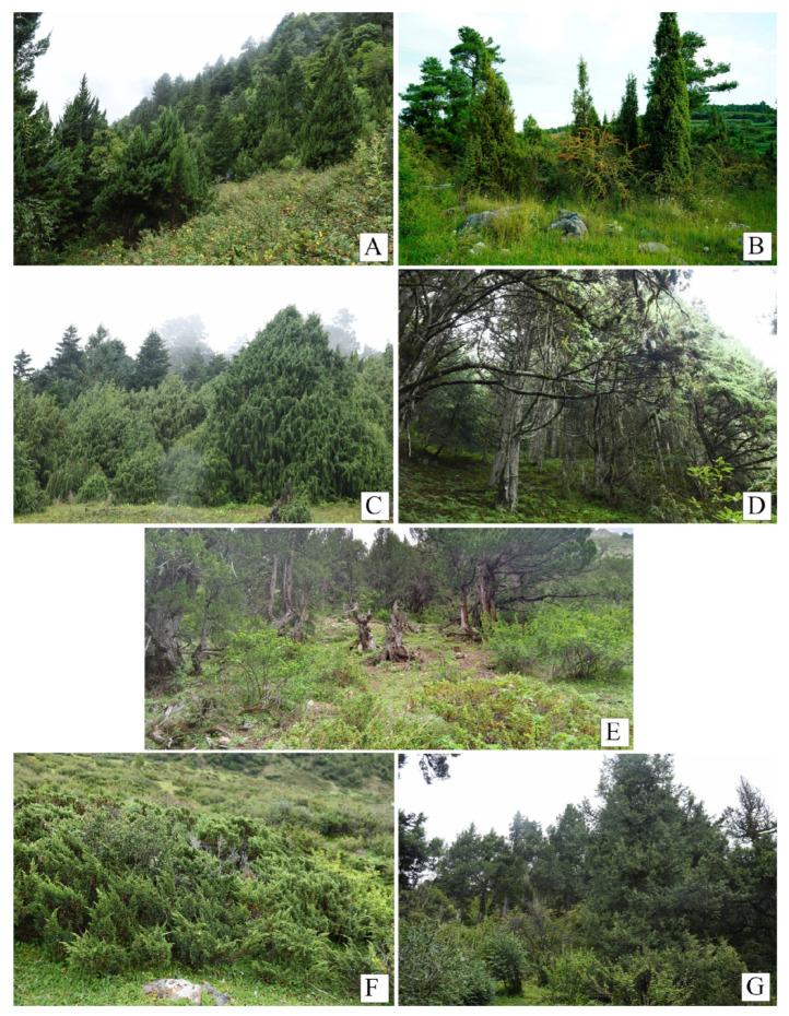 https://cdn.ncbi.nlm.nih.gov/pmc/blobs/8e99/12430647/79607e91af7a/plants-14-02754-g004.jpg