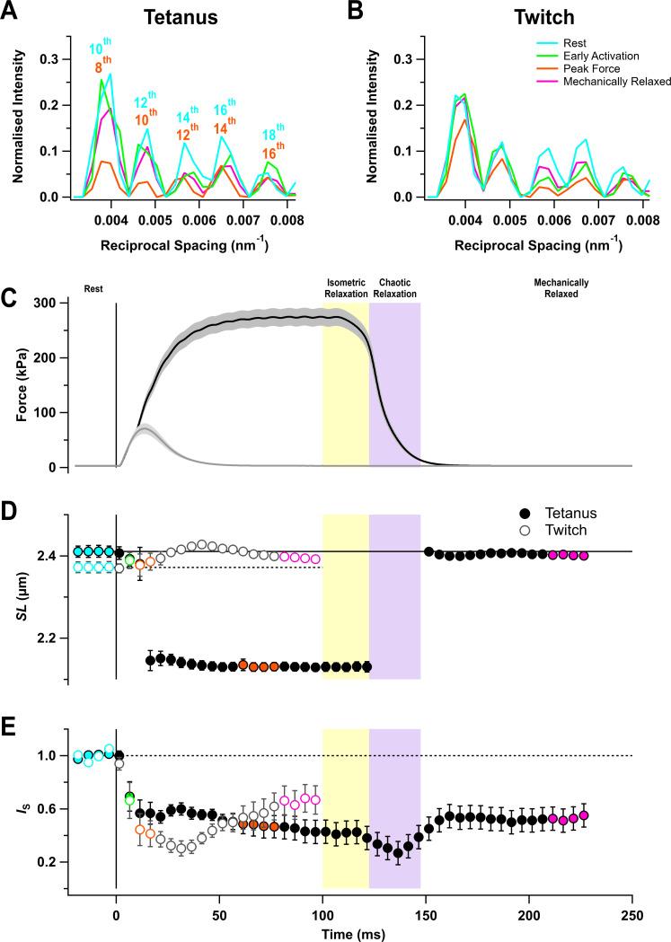 https://cdn.ncbi.nlm.nih.gov/pmc/blobs/8e9a/8275128/c3d48c75f351/elife-68211-fig1.jpg