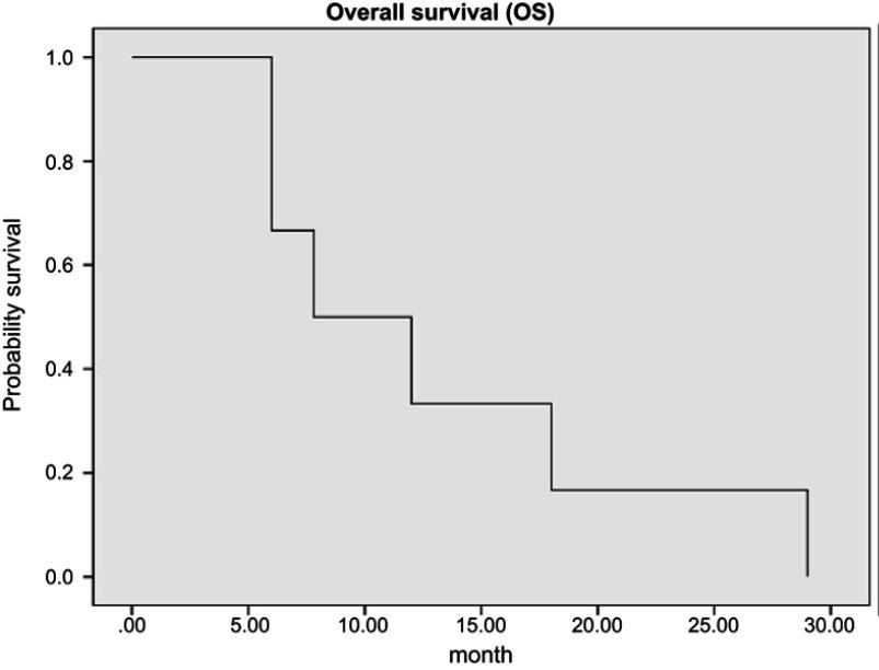 https://cdn.ncbi.nlm.nih.gov/pmc/blobs/8e9b/6511615/2b629900bd78/TCRM-15-637-g0005.jpg