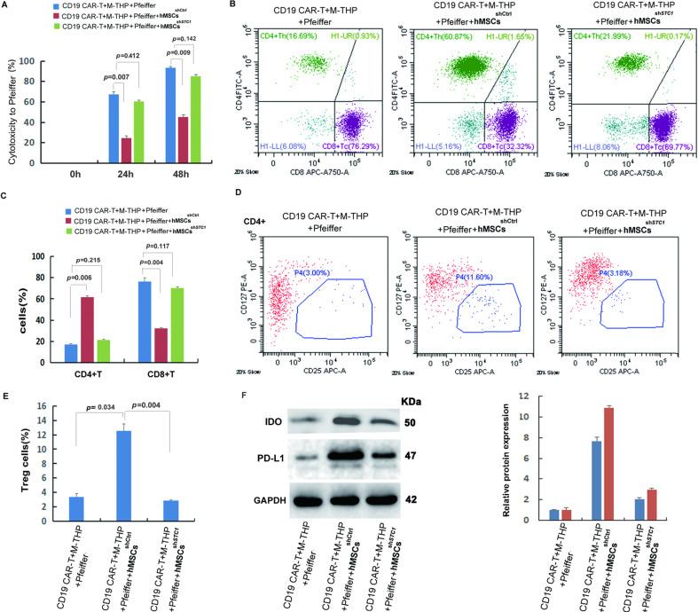 https://cdn.ncbi.nlm.nih.gov/pmc/blobs/8e9d/10019890/0f6e594e556a/elife-82934-fig2.jpg