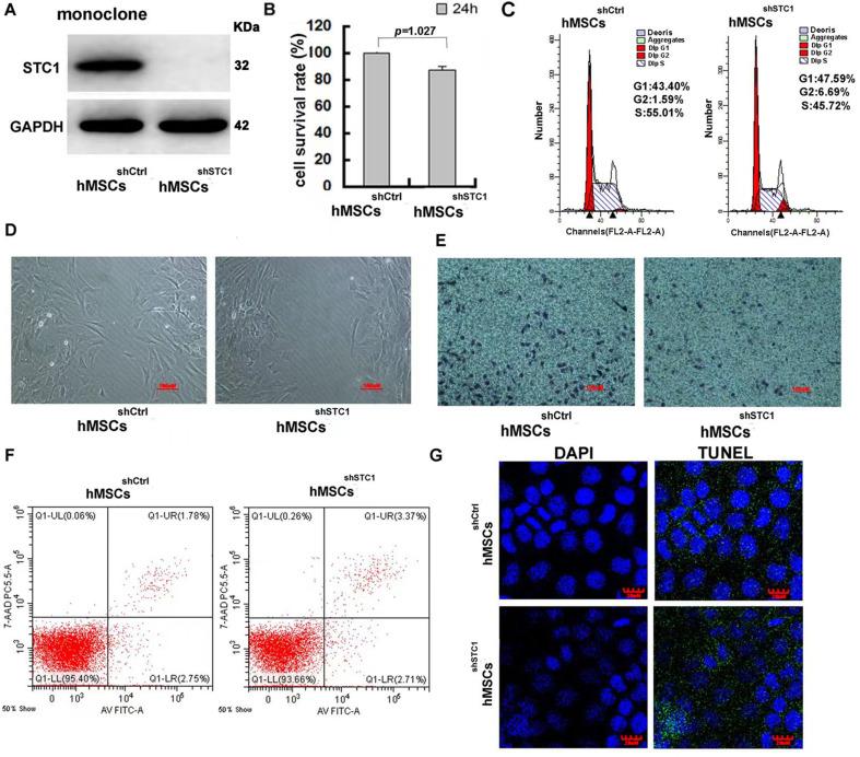 https://cdn.ncbi.nlm.nih.gov/pmc/blobs/8e9d/10019890/ec835e664815/elife-82934-fig1.jpg