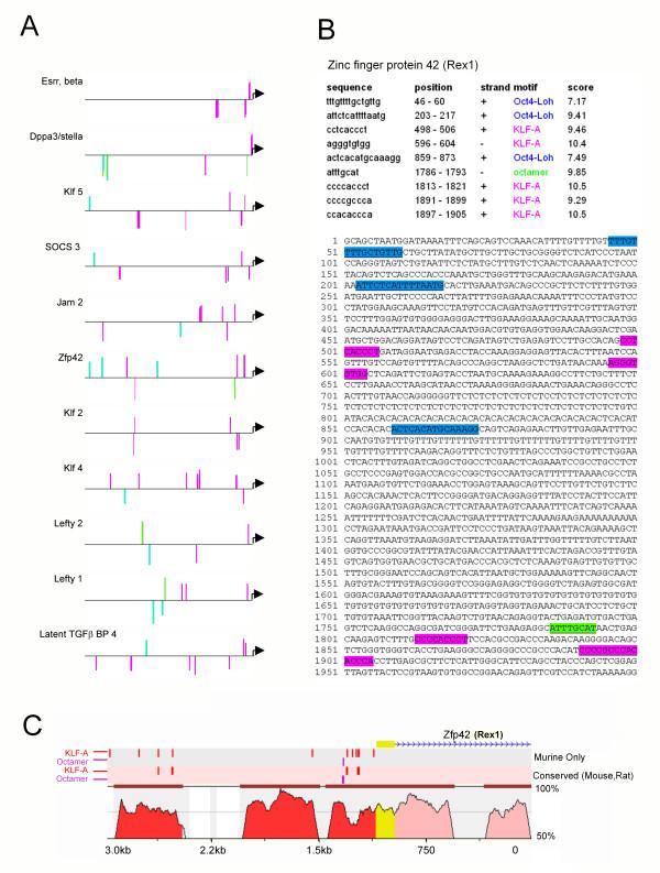 https://cdn.ncbi.nlm.nih.gov/pmc/blobs/8e9d/2204012/8f394ac87f8e/1471-2164-8-365-7.jpg