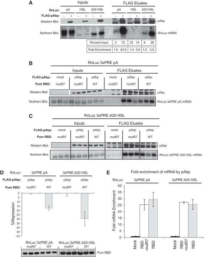 https://cdn.ncbi.nlm.nih.gov/pmc/blobs/8e9d/4105754/02ddc85e0bb2/1298f09.jpg