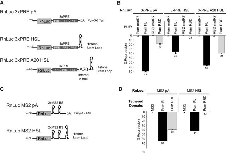 https://cdn.ncbi.nlm.nih.gov/pmc/blobs/8e9d/4105754/a23feb80ac62/1298f06.jpg