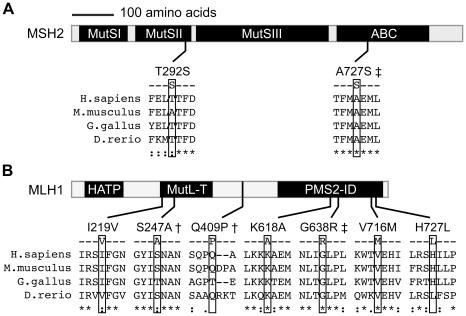 https://cdn.ncbi.nlm.nih.gov/pmc/blobs/8e9f/2923613/9aea245ce234/pone.0012260.g003.jpg