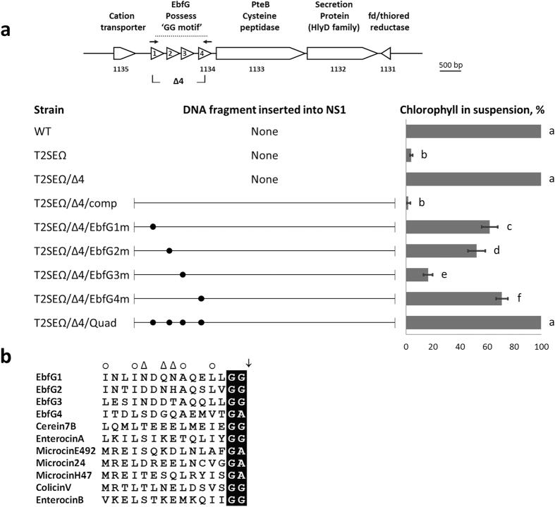 https://cdn.ncbi.nlm.nih.gov/pmc/blobs/8e9f/4997328/3609815b41e7/srep32209-f2.jpg