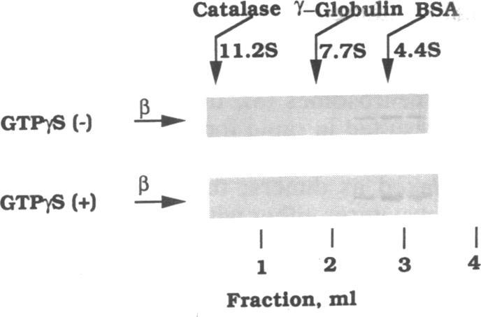 https://cdn.ncbi.nlm.nih.gov/pmc/blobs/8ea0/54544/063c5cf4f985/pnas01041-0416-a.jpg