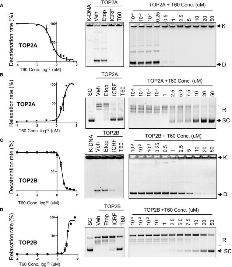 https://cdn.ncbi.nlm.nih.gov/pmc/blobs/8ea0/7883873/e4f998588071/fonc-10-633142-g003.jpg