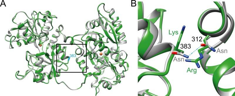 https://cdn.ncbi.nlm.nih.gov/pmc/blobs/8ea2/5884551/b97bca158aa2/pgen.1007272.g003.jpg
