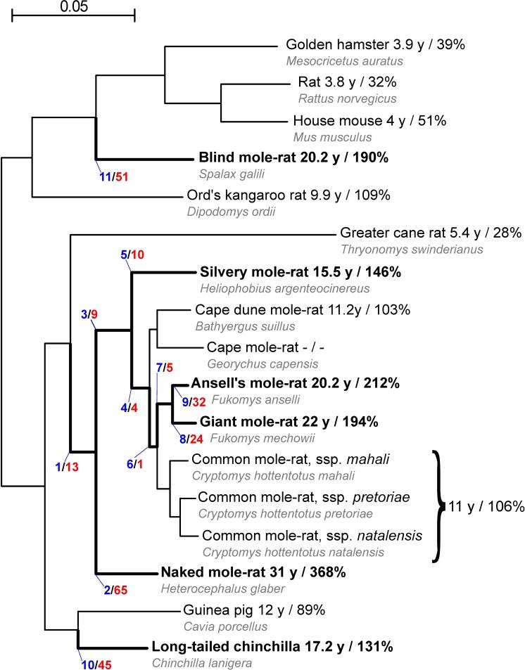 https://cdn.ncbi.nlm.nih.gov/pmc/blobs/8ea2/5884551/e4674cd2e3b0/pgen.1007272.g001.jpg