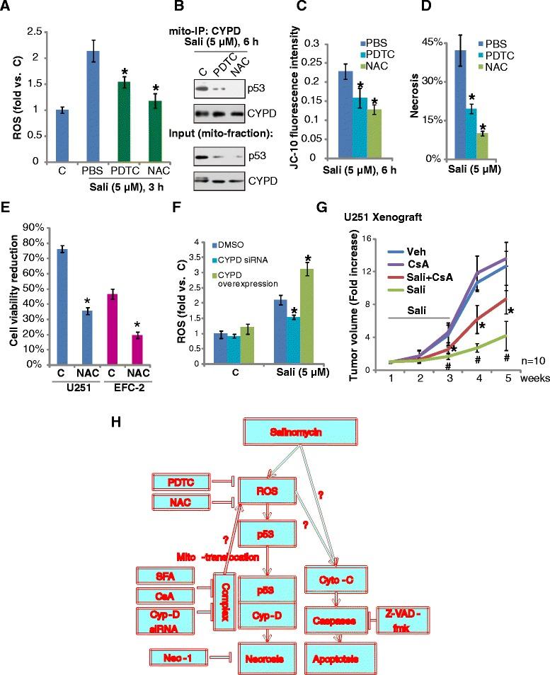 https://cdn.ncbi.nlm.nih.gov/pmc/blobs/8ea4/4486428/15a279690a2d/13046_2015_174_Fig5_HTML.jpg